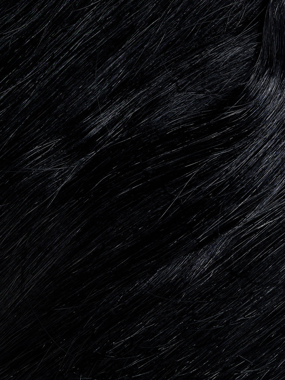 Jet Black Remy Hair Ponytail (20" and 130g)